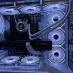 Quantum Apex 6