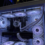 Quantum Apex 6